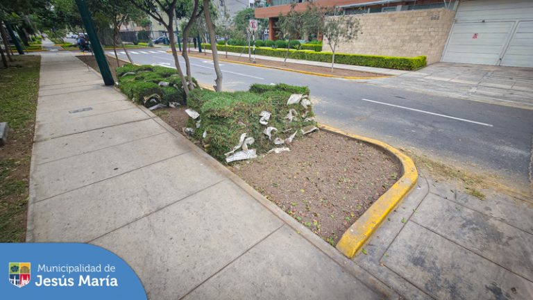👉 Hoy nuestro equipo trabajó en la Av. Cayetano Heredia colocando más de 1800 m2 de gras y realizando la limpieza y riego adecuados.