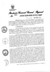 Vista preliminar de documento RGGR-209-2022