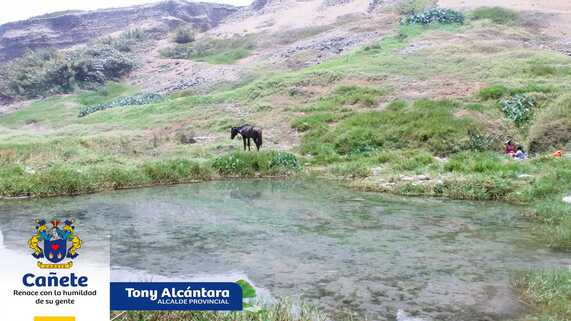 ARCHIVO IMAGEN 2
