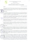 Vista preliminar de documento RESOLUCION GM Nº 025-2023-GM