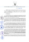 Vista preliminar de documento RES-357-2023-GRDS