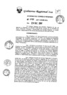 Vista preliminar de documento ar24