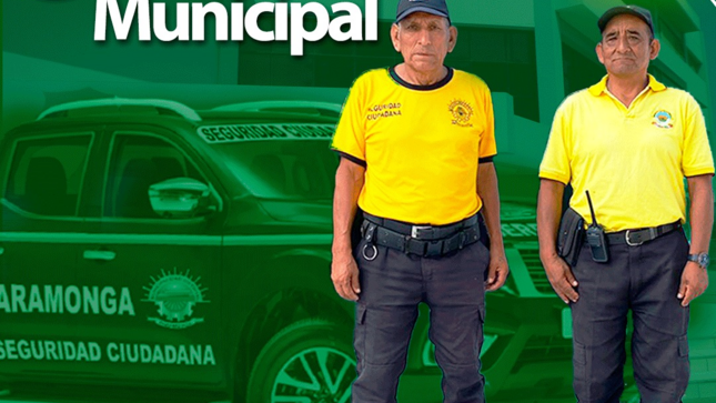 imagen1