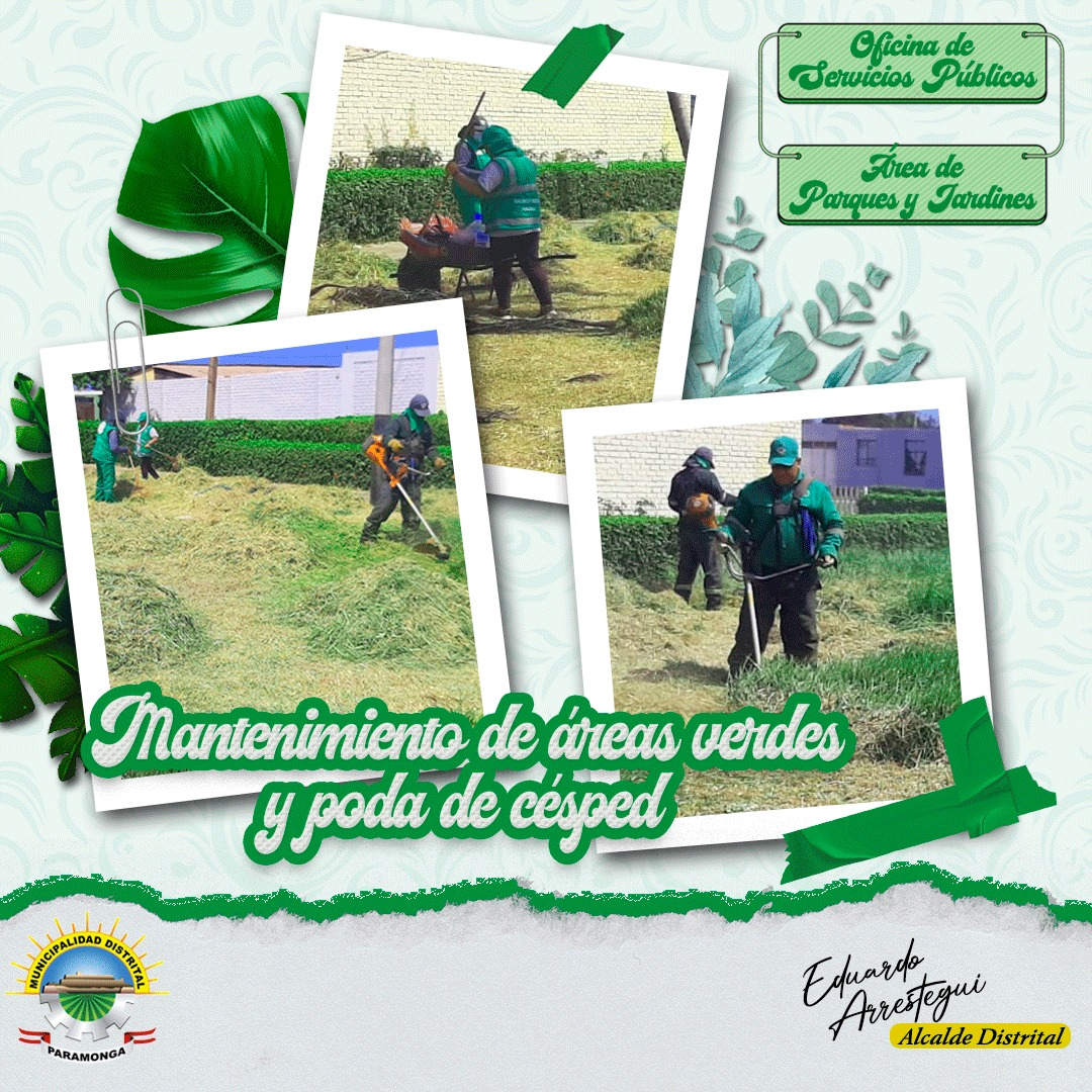 imagen1