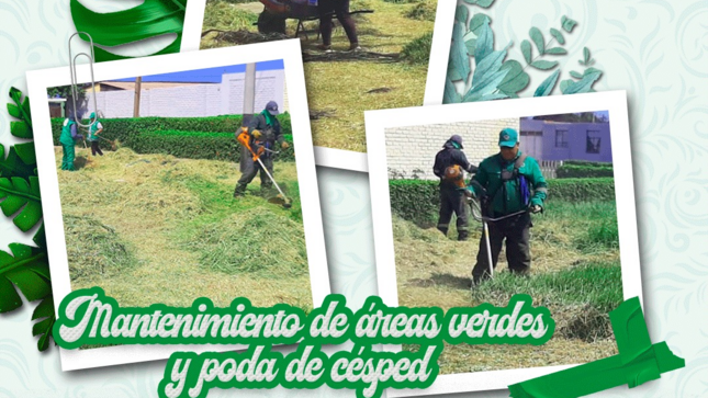 imagen1
