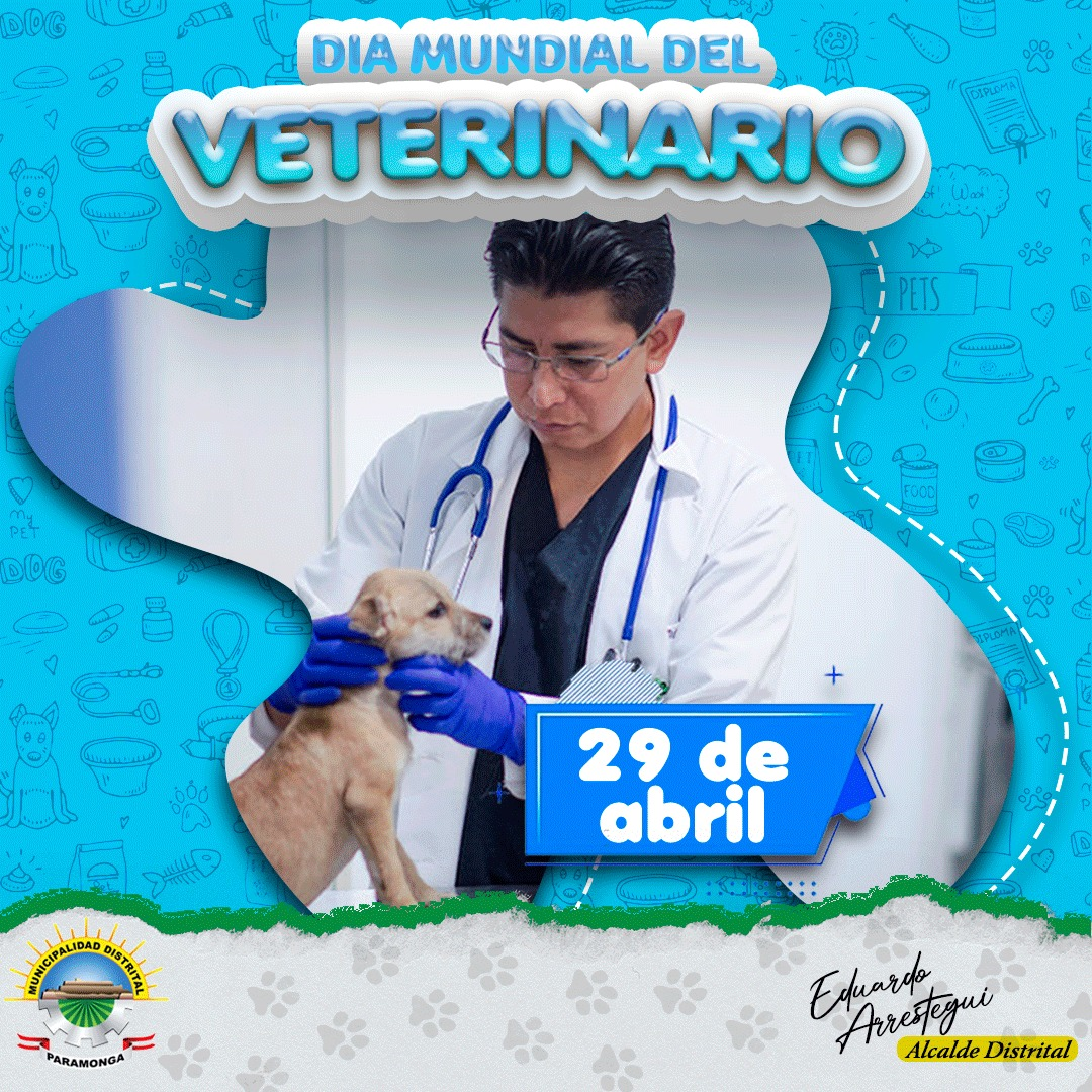 imagen1