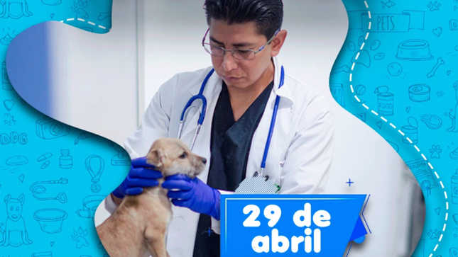 imagen1