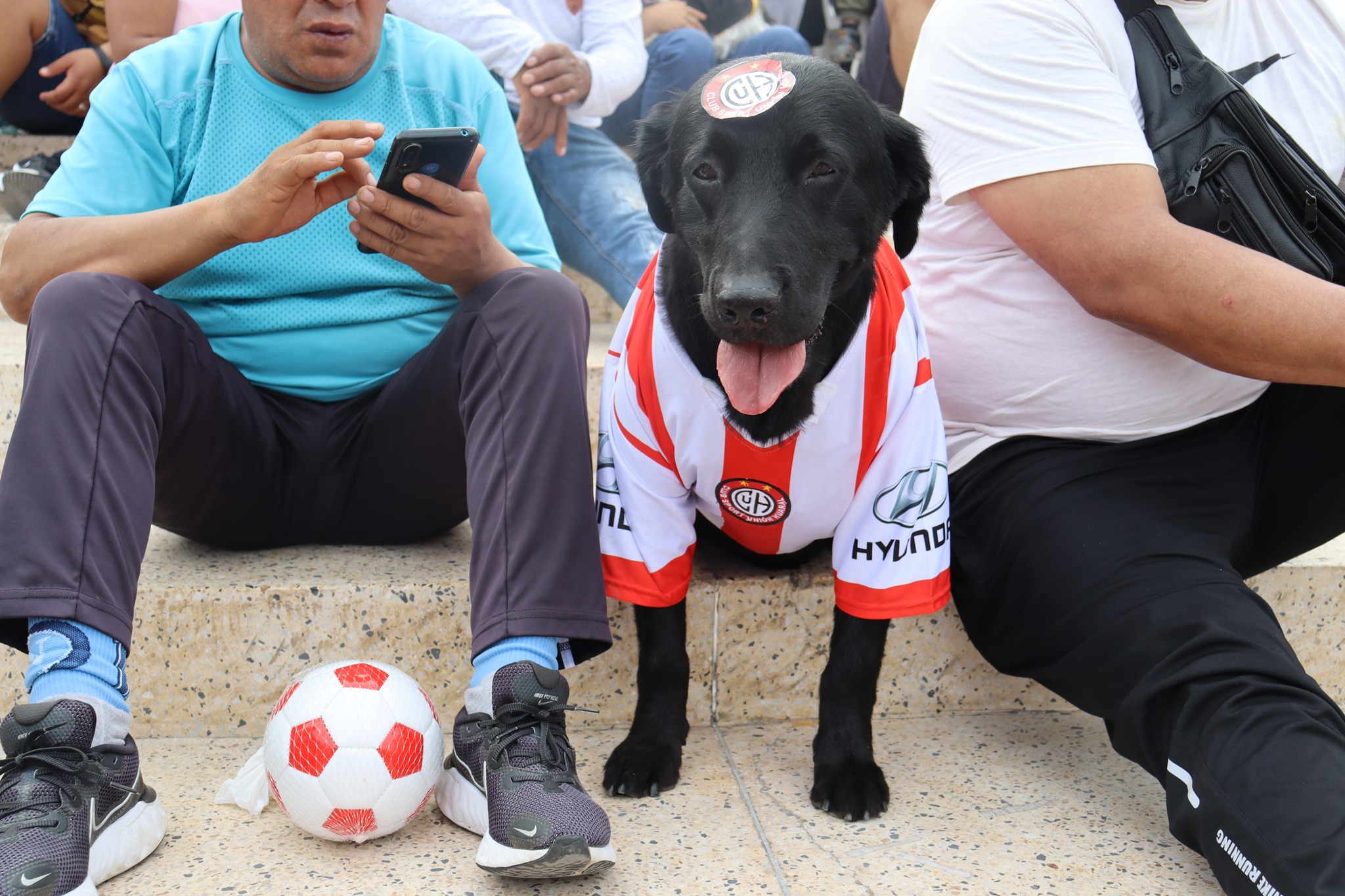 Perrito con camiseta del Unión Huaral ganó el primer lugar del Concurso de Disfraces Canino