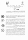 Vista preliminar de documento RER 259