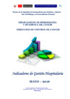 Vista preliminar de documento Indicadores de Gestión Hospitalaria del INEN - Mayo 2018
