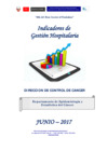 Vista preliminar de documento Indicadores de Gestión Hospitalaria del INEN - Junio 2017