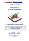 Vista preliminar de documento Indicadores de Gestión Hospitalaria del INEN - Agosto 2017