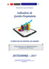 Vista preliminar de documento Indicadores de Gestión Hospitalaria del INEN - Setiembre 2017