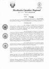 Vista preliminar de documento RER 258