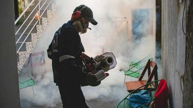 Piura más de 15 000 viviendas fumiga el Minsa contra el zancudo que transmite dengue en Chulucanas