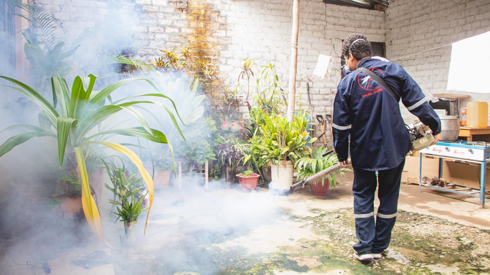 Piura más de 15 000 viviendas fumiga el Minsa contra el zancudo que transmite dengue en Chulucanas