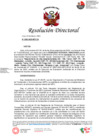 Vista preliminar de documento RD N°593-2023