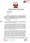 Vista preliminar de documento RD N°595-2023