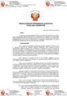 Vista preliminar de documento 035-2023-SANIPES/PE