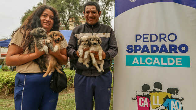 Llevamos una campaña veterinaria hasta el A.H. José Olaya.