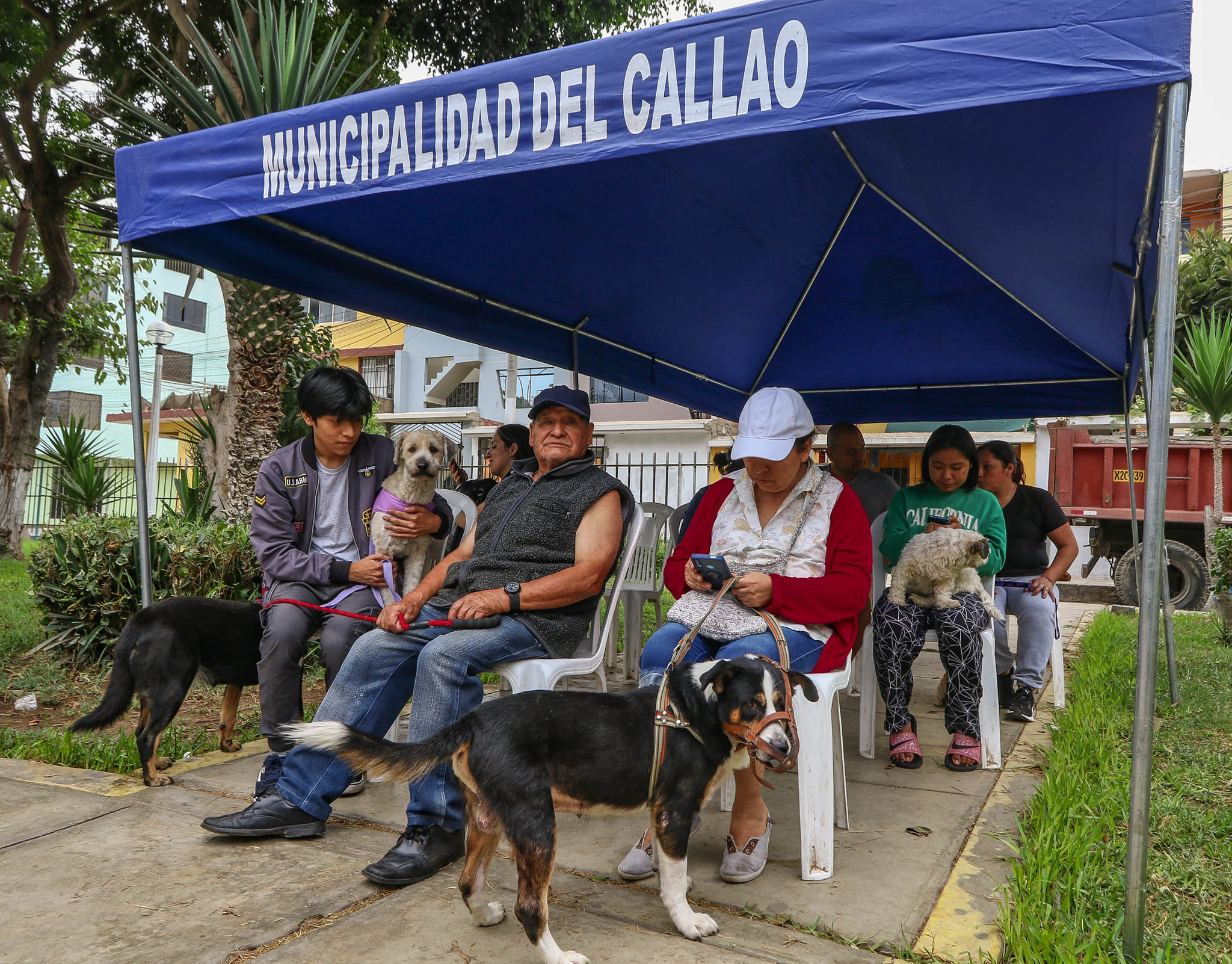 Llevamos una campaña veterinaria hasta el A.H. José Olaya.