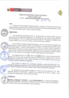 Vista preliminar de documento RESOLUCION DIRECTORIAL N°221