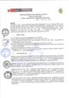 Vista preliminar de documento RESOLUCION DIRECTORIAL N°222