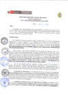 Vista preliminar de documento RESOLUCION DIRECTORIAL N°223