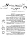 Vista preliminar de documento ar57