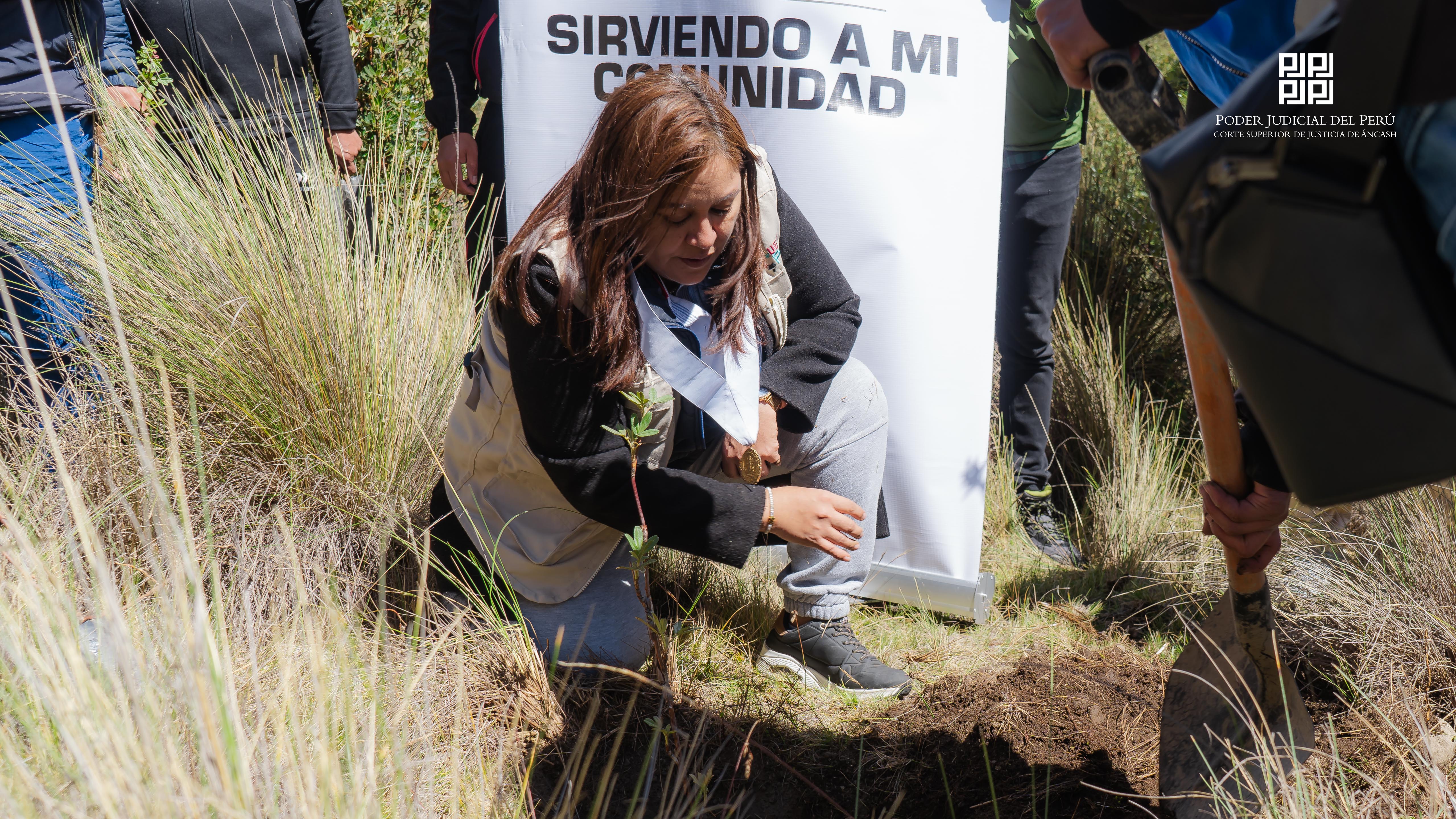 Órgano de Imagen Institucional