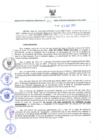 Vista preliminar de documento RES-381-2023-GRDS