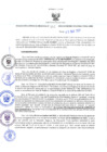 Vista preliminar de documento RES-384-2023-GRDS