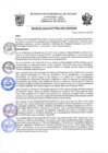 Vista preliminar de documento rgm2