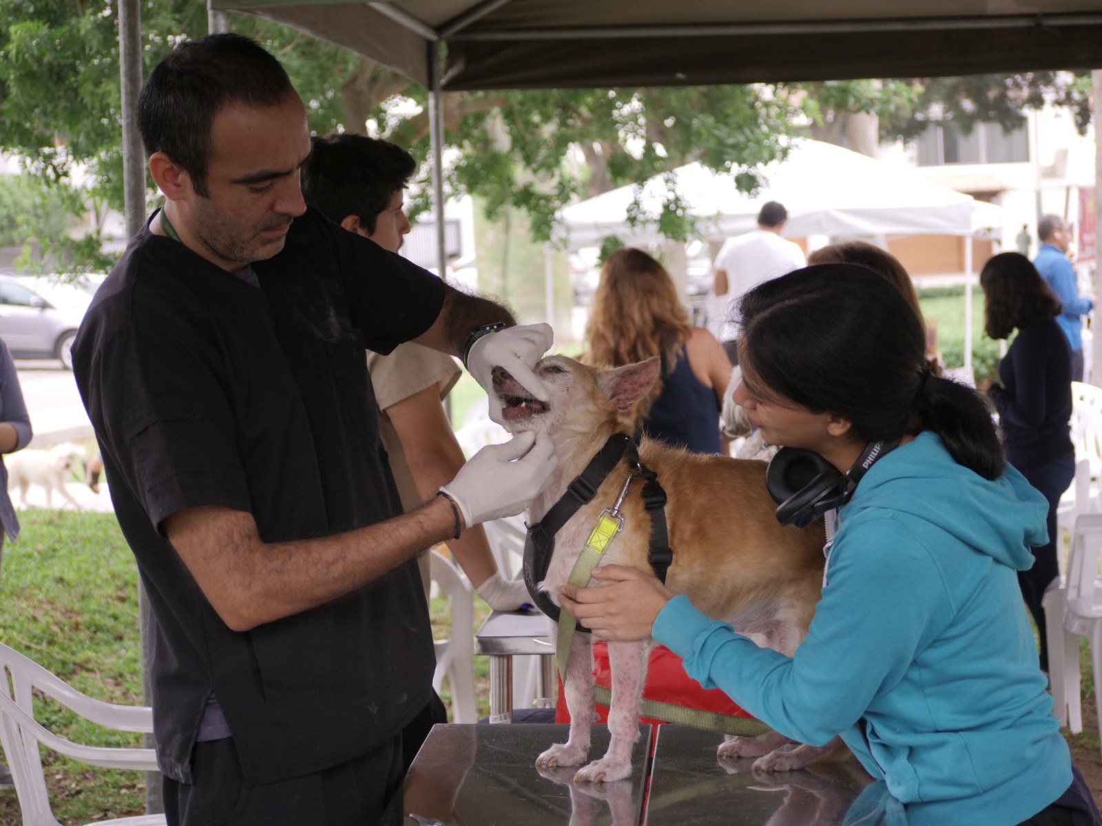 Realizamos concurrida jornada de atención veterinaria en el parque Acosta