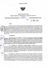 Vista preliminar de documento RDR N° 0221-2023-08-05-2023