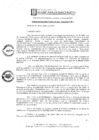 Vista preliminar de documento RR-35-2010Lim0H