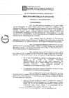 Vista preliminar de documento RR-41-2010NVaaZ