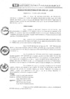 Vista preliminar de documento RR-39-2010yM63I