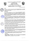 Vista preliminar de documento rgm13