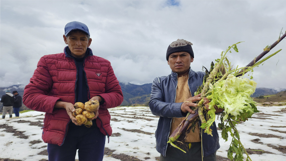 foto donde muestra a los pobladores con los cultivos perdidos