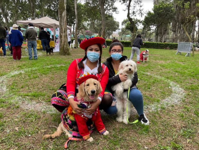 Campaña de mascotas