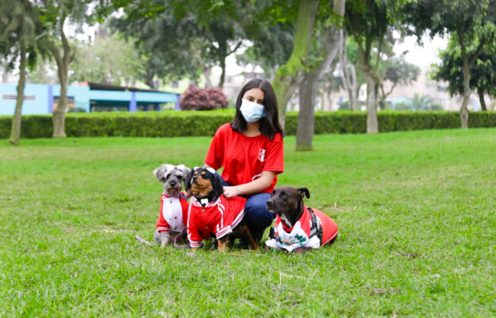 Campaña de mascotas
