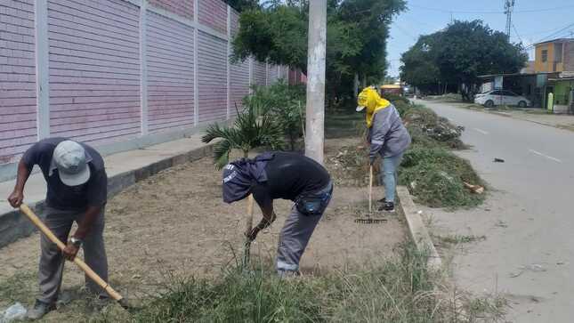 BRIGADAS VERDES ACTÚAN EN LA I.E. OCHO DE DICIEMBRE
