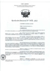 Vista preliminar de documento RD- 1475