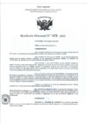 Vista preliminar de documento RD- 1476