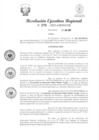 Vista preliminar de documento RER 252
