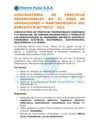 Vista preliminar de documento CONVOCATORIA DE PRÁCTICAS PROFESIONALES