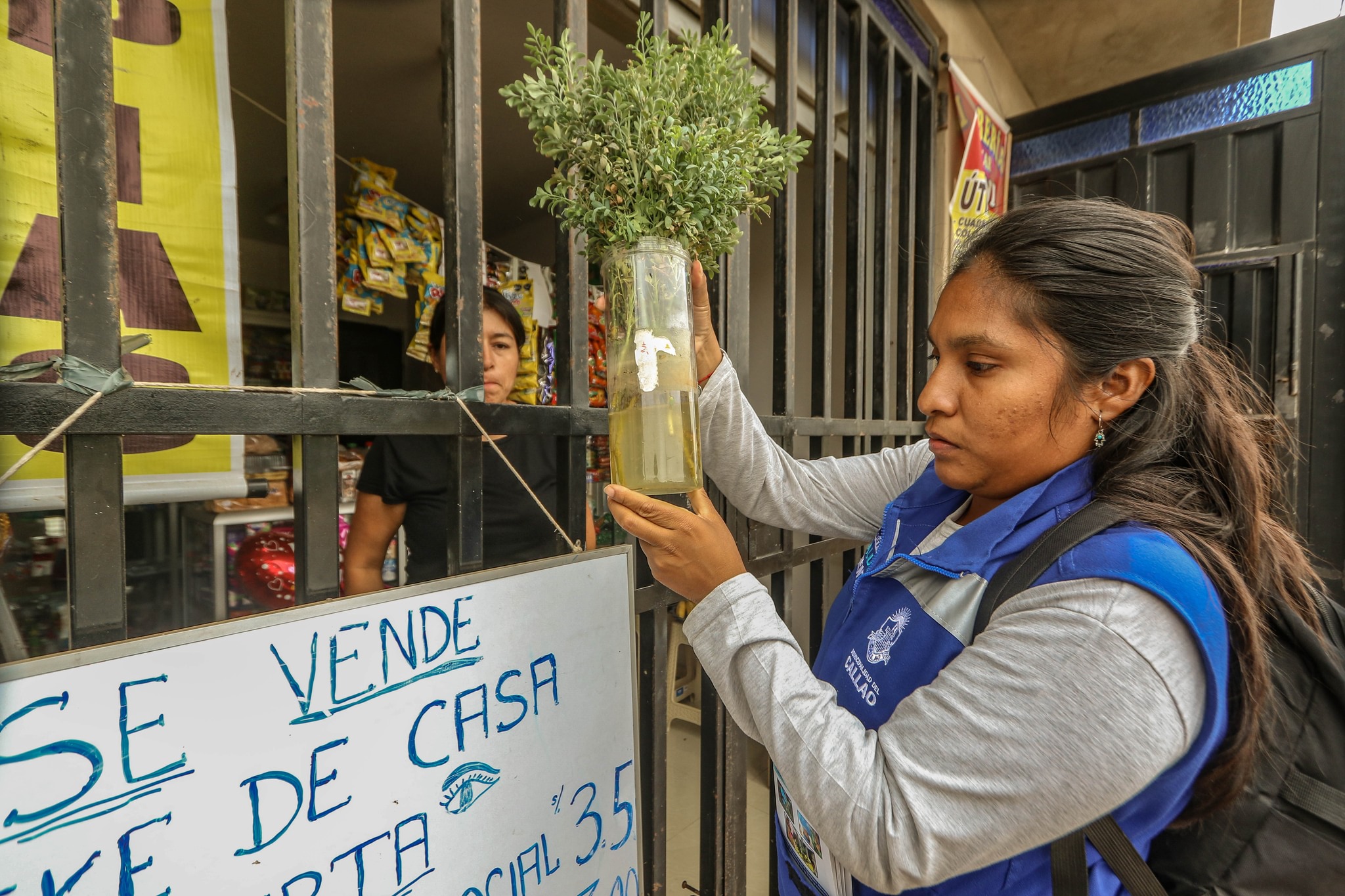 Especialistas de la Municipalidad del Callao siguen realizando visitas domiciliarias