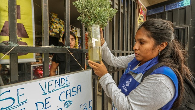 Especialistas de la Municipalidad del Callao siguen realizando visitas domiciliarias 