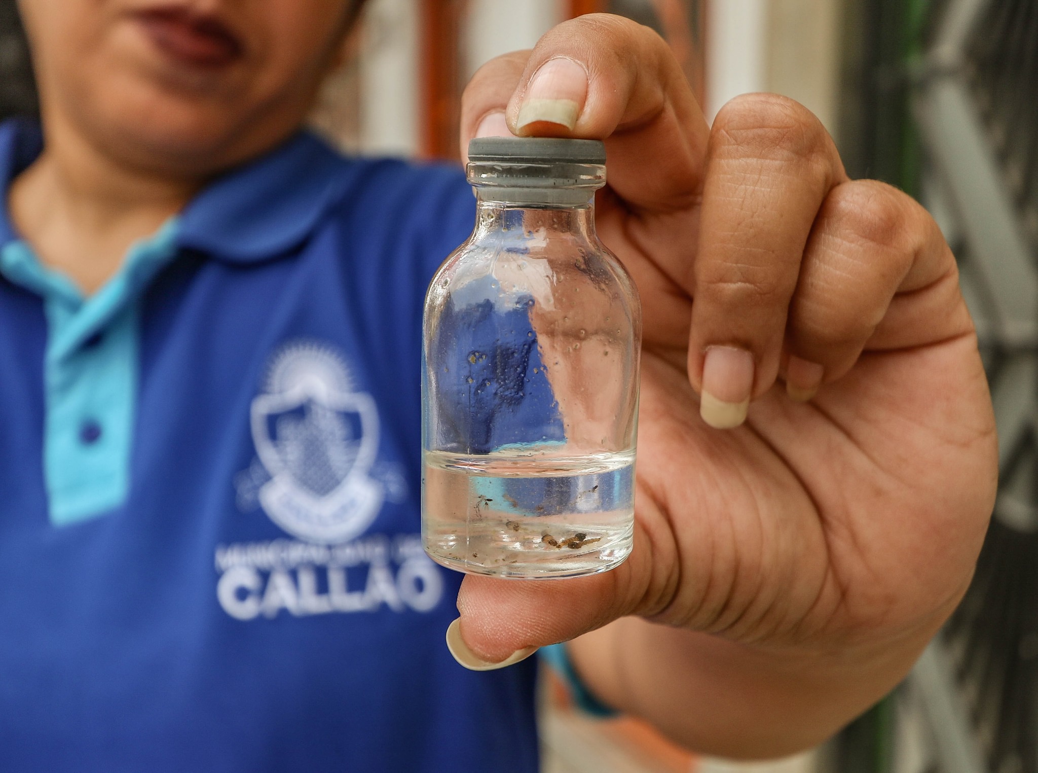Especialistas de la Municipalidad del Callao siguen realizando visitas domiciliarias